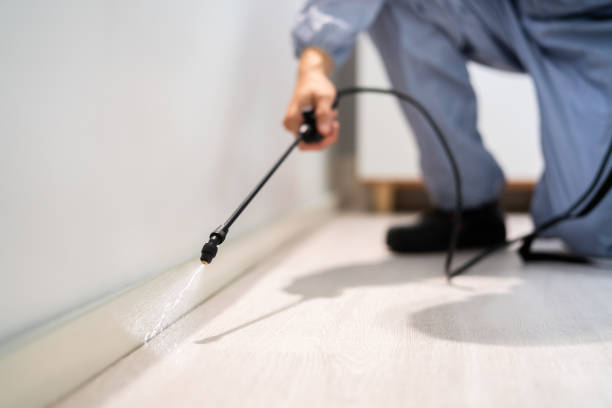 Licensed Pest Control service in George County County, MS - Nex Pest Control