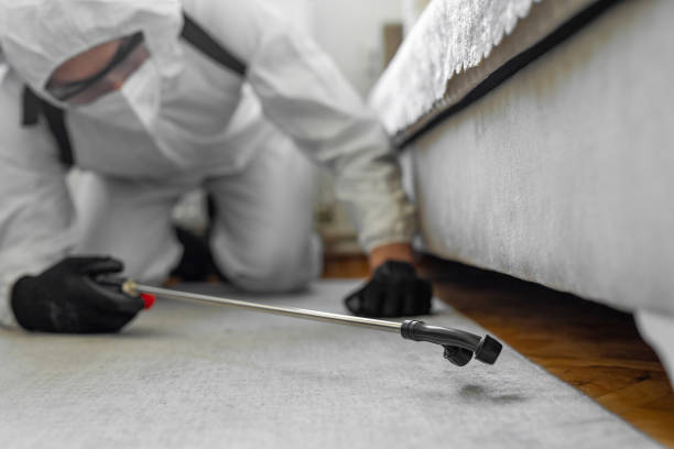 Professional Pest Control technician working in George County County, MS
